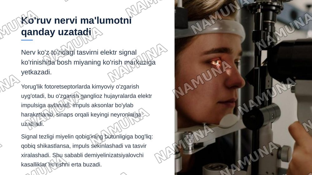 Ko’ruv nervi kasalliklari — zamonaviy taqdimot, 5-slayd