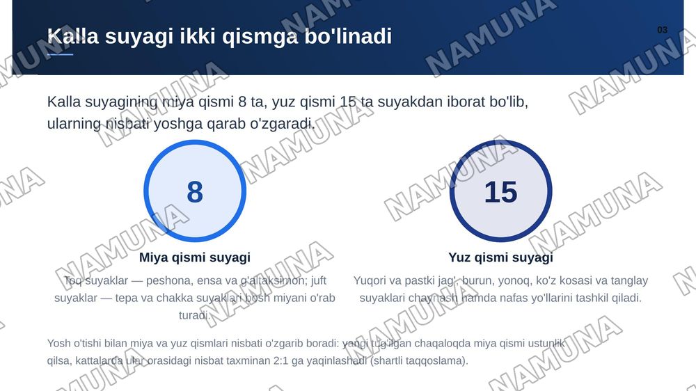 Kalla suyaklarining taraqqiyoti va tuzilishi.Kallaning miya qismi va yuz qismidagisuyaklarning tuzilishi. — zamonaviy taqdimot, 4-slayd