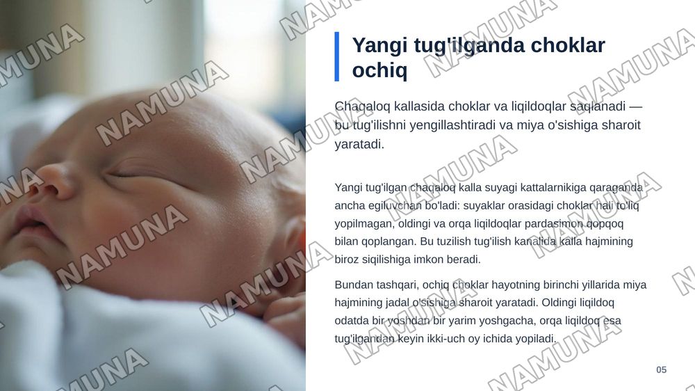 Kalla suyaklarining taraqqiyoti va tuzilishi.Kallaning miya qismi va yuz qismidagisuyaklarning tuzilishi. — zamonaviy taqdimot, 6-slayd