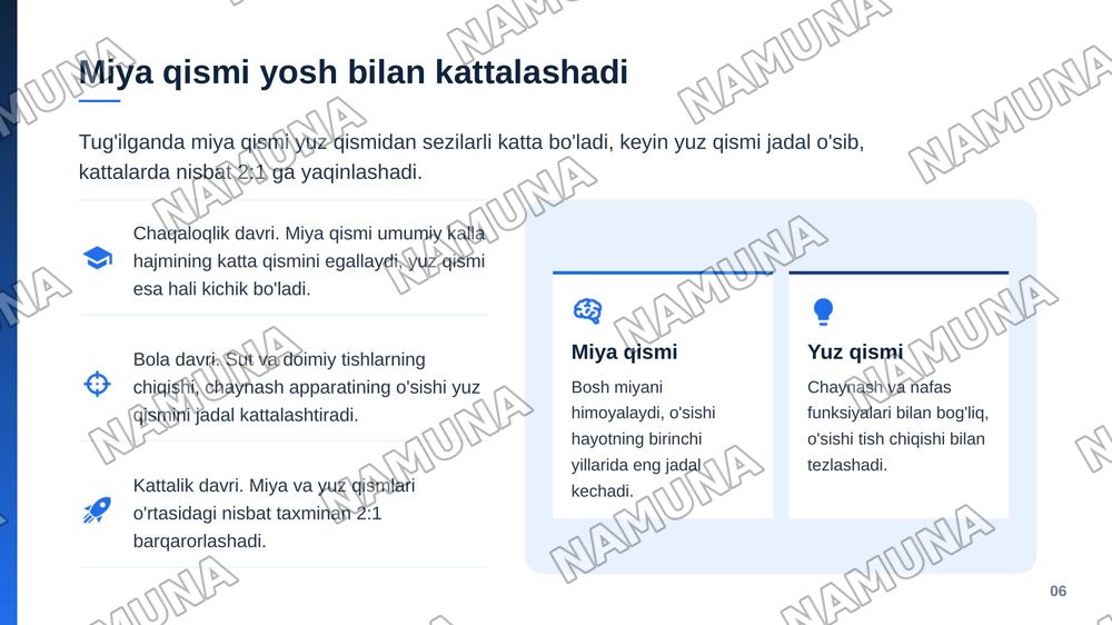 Kalla suyaklarining taraqqiyoti va tuzilishi.Kallaning miya qismi va yuz qismidagisuyaklarning tuzilishi. — zamonaviy taqdimot, 7-slayd