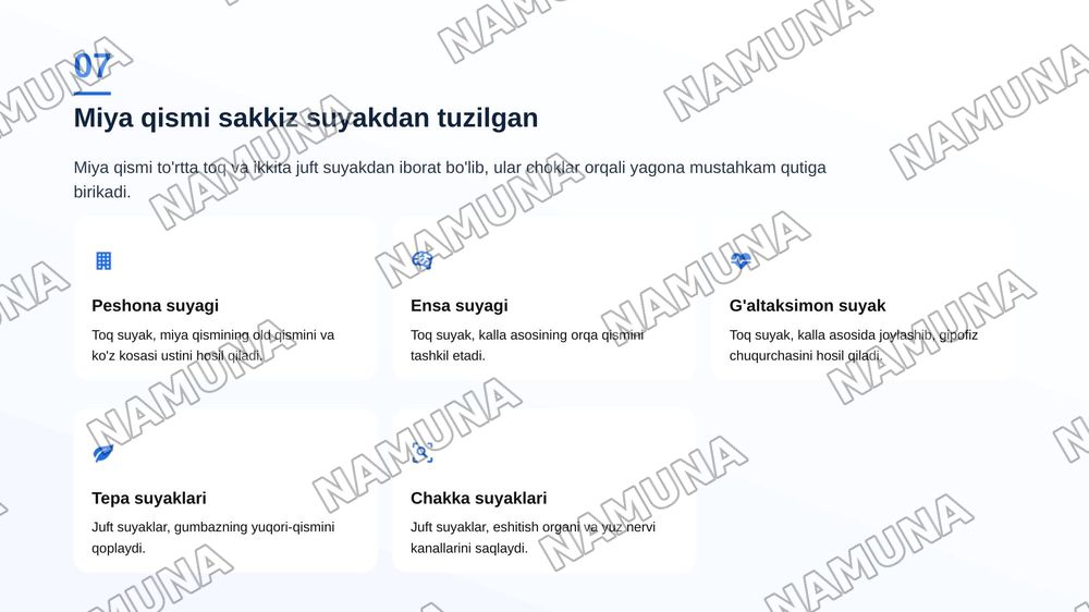 Kalla suyaklarining taraqqiyoti va tuzilishi.Kallaning miya qismi va yuz qismidagisuyaklarning tuzilishi. — zamonaviy taqdimot, 8-slayd