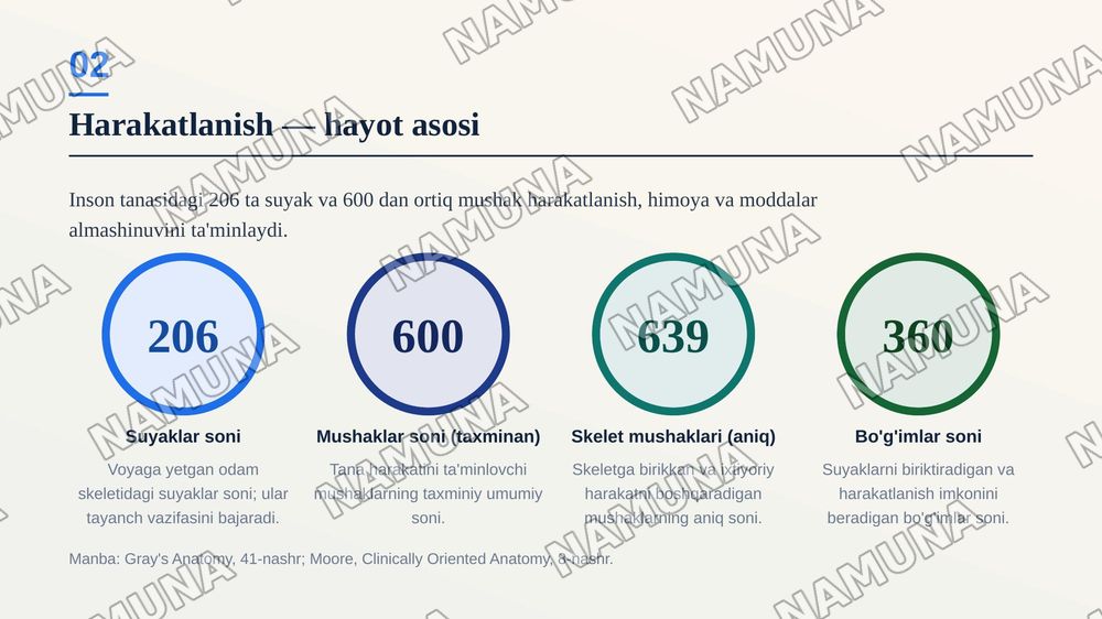 Inson harakatlanish tizimi — zamonaviy taqdimot, 3-slayd