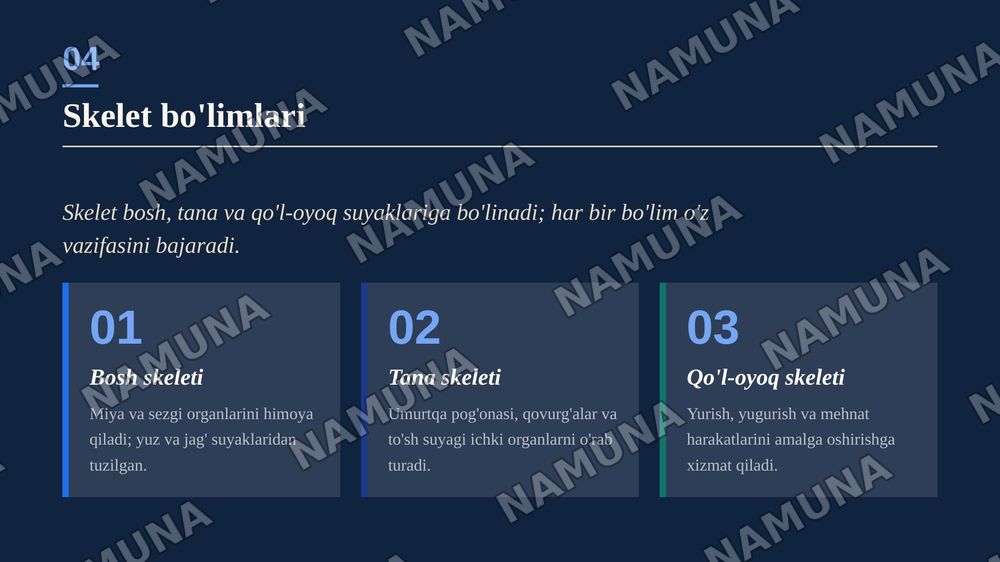 Inson harakatlanish tizimi — zamonaviy taqdimot, 5-slayd