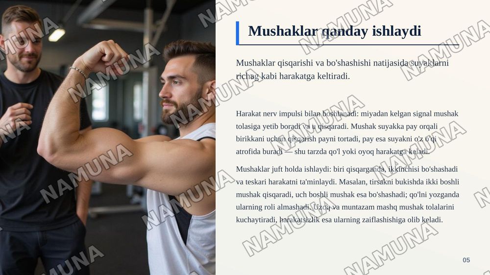 Inson harakatlanish tizimi — zamonaviy taqdimot, 6-slayd