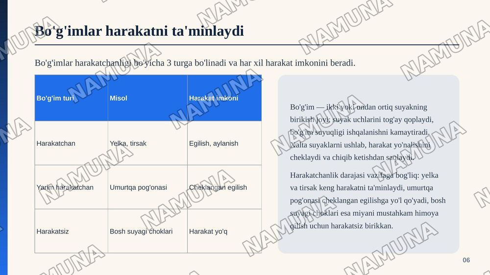 Inson harakatlanish tizimi — zamonaviy taqdimot, 7-slayd