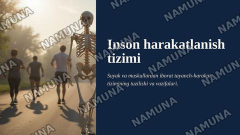 Inson harakatlanish tizimi — zamonaviy taqdimot