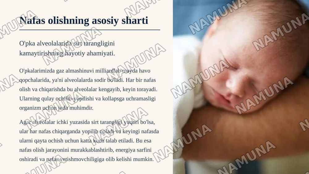 Sulfaktan hosil boʻlishi. Yangi tugʻulgan chaqaloqlar organizimidagi ahamiyati — zamonaviy taqdimot, 3-slayd