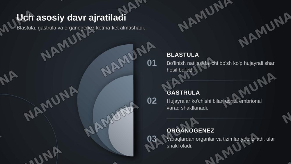 Embrional rivojlanishning umumiy qonuniyatlari. Teratogen omillar — zamonaviy taqdimot, 5-slayd