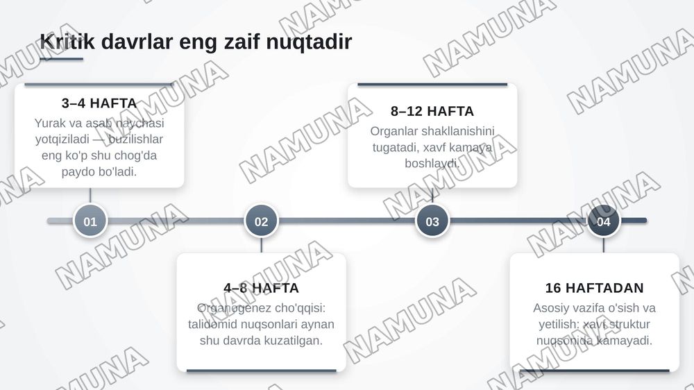 Embrional rivojlanishning umumiy qonuniyatlari. Teratogen omillar — zamonaviy taqdimot, 6-slayd