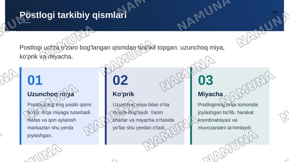 Bosh miya postlogi — zamonaviy taqdimot, 4-slayd