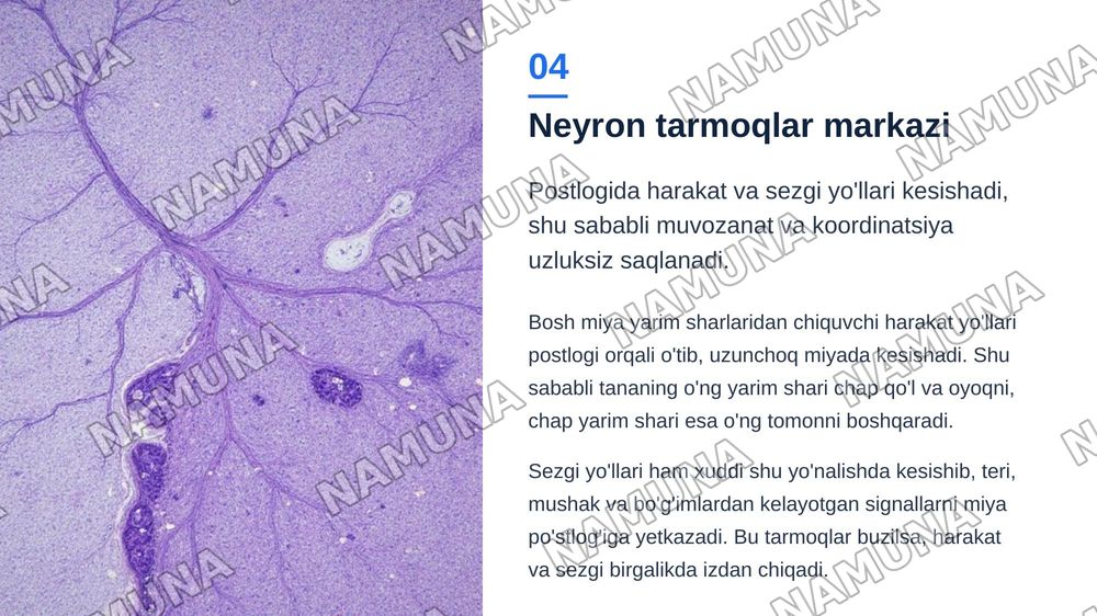 Bosh miya postlogi — zamonaviy taqdimot, 5-slayd
