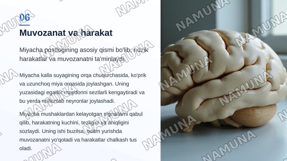 Bosh miya postlogi — zamonaviy taqdimot, 7-slayd