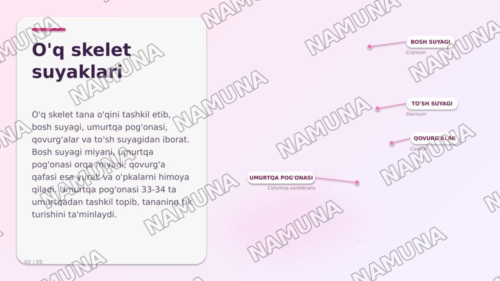 Osteologiya — zamonaviy taqdimot, 2-slayd