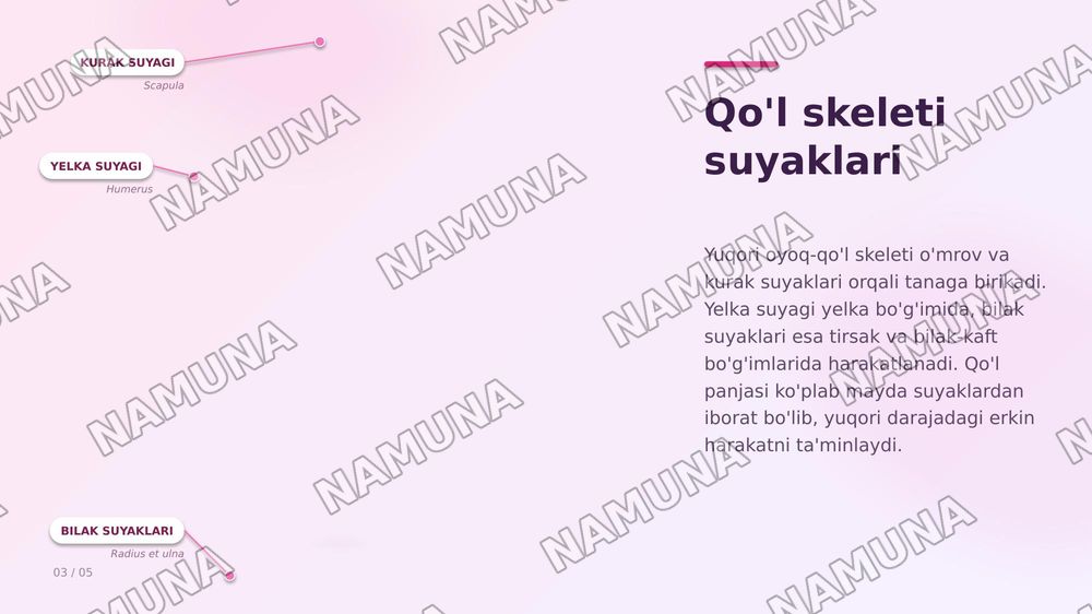 Osteologiya — zamonaviy taqdimot, 3-slayd