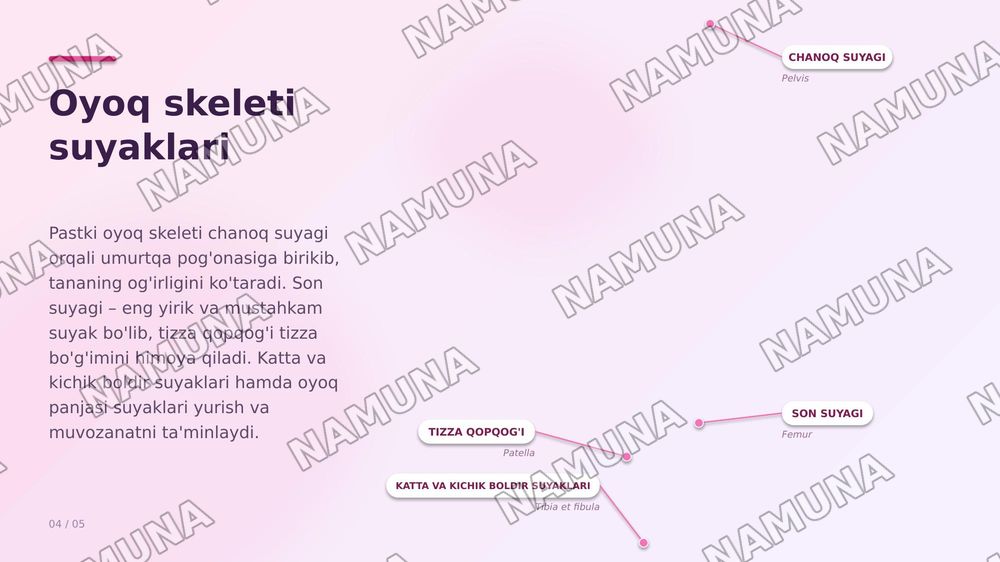 Osteologiya — zamonaviy taqdimot, 4-slayd