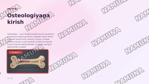 Osteologiya — zamonaviy taqdimot