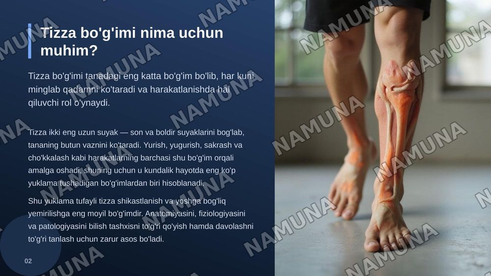 Tizza bo’g’imi — zamonaviy taqdimot, 3-slayd