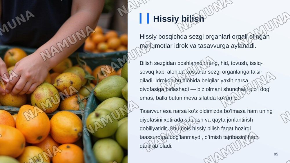 Bilish nazariyasi asosiy muammolari va yònalishlari — zamonaviy taqdimot, 6-slayd