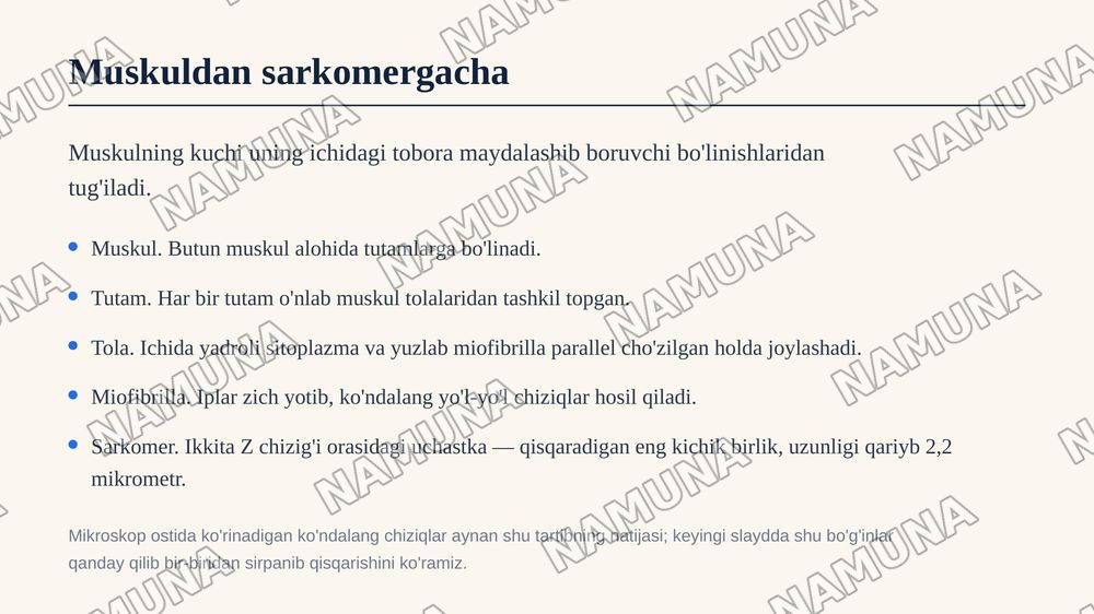 Skelet muskullari, muskul qisqarish turlari va ularning charchash fiziologiyasi — zamonaviy taqdimot, 4-slayd