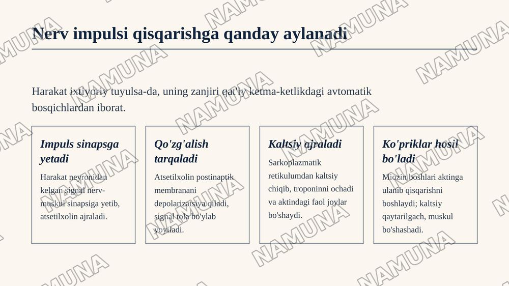 Skelet muskullari, muskul qisqarish turlari va ularning charchash fiziologiyasi — zamonaviy taqdimot, 6-slayd