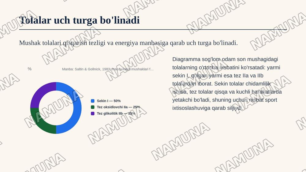 Skelet muskullari, muskul qisqarish turlari va ularning charchash fiziologiyasi — zamonaviy taqdimot, 7-slayd