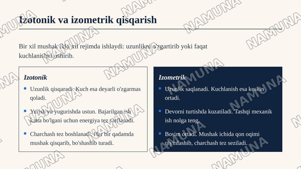 Skelet muskullari, muskul qisqarish turlari va ularning charchash fiziologiyasi — zamonaviy taqdimot, 8-slayd