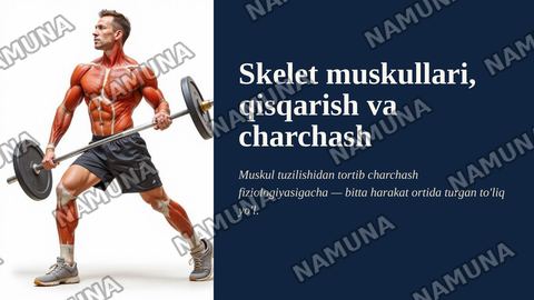 Skelet muskullari, muskul qisqarish turlari va ularning charchash fiziologiyasi — zamonaviy taqdimot