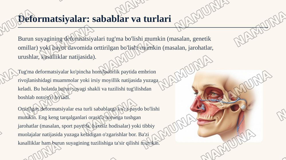Burun suyagi — zamonaviy taqdimot, 4-slayd