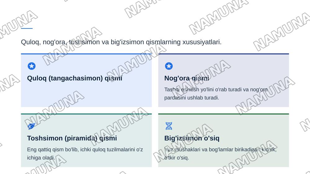 Ponasimon suyak va chakka suyaklari — zamonaviy taqdimot, 6-slayd