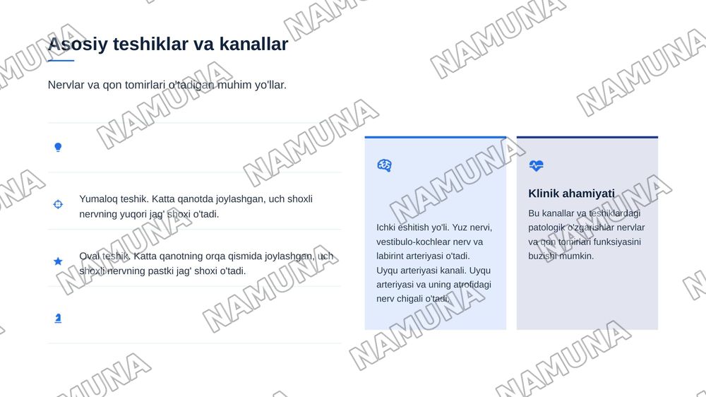 Ponasimon suyak va chakka suyaklari — zamonaviy taqdimot, 7-slayd