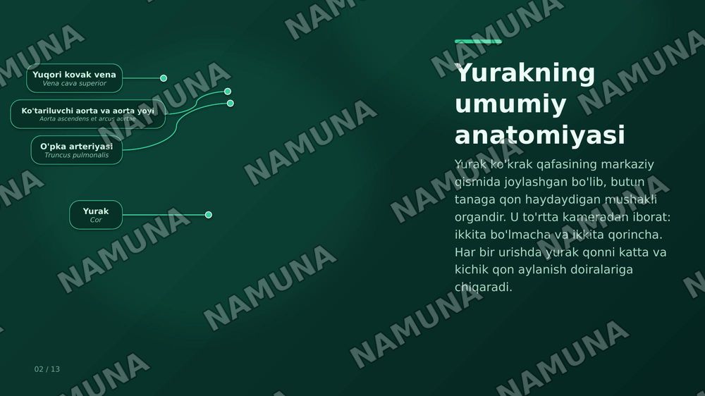 Bogim yurak va buyrak — zamonaviy taqdimot, 3-slayd