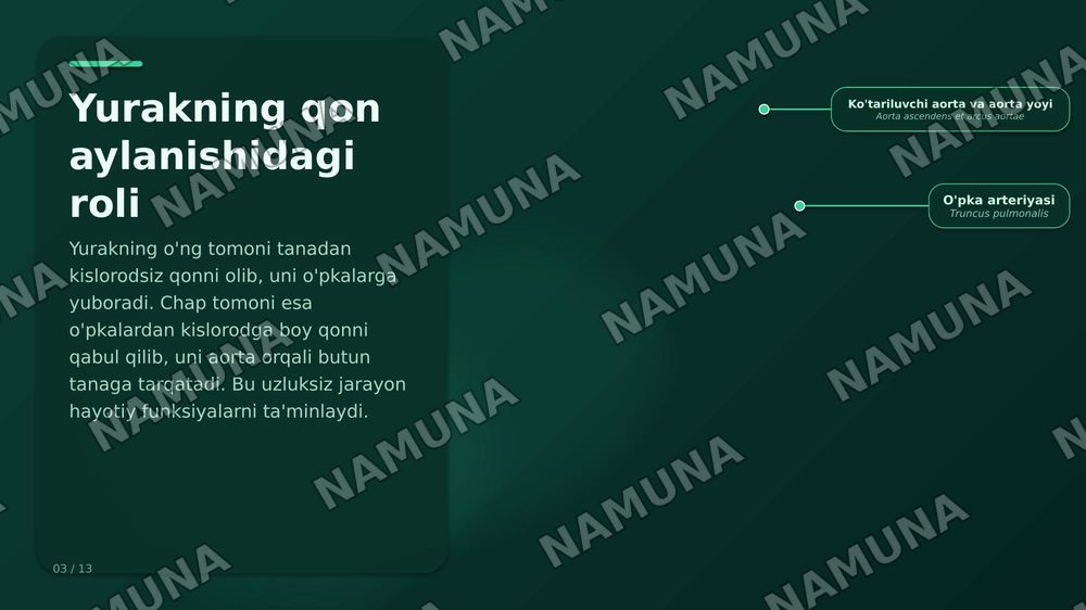 Bogim yurak va buyrak — zamonaviy taqdimot, 5-slayd