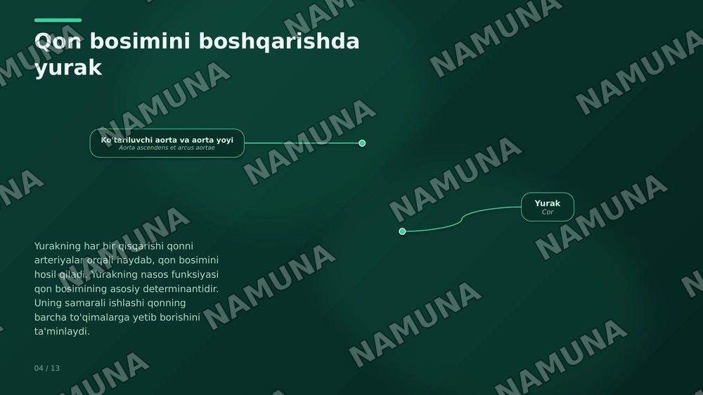 Bogim yurak va buyrak — zamonaviy taqdimot, 8-slayd