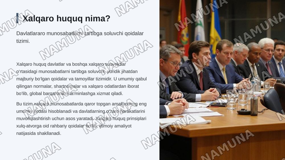 Xarqaro huquq pirinsiplari — zamonaviy taqdimot, 3-slayd