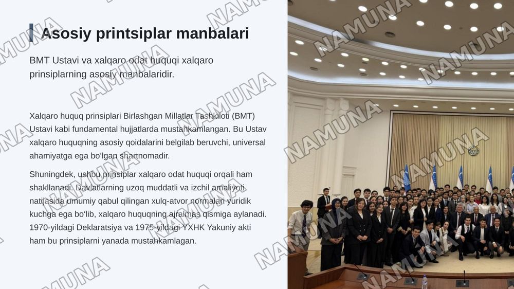 Xarqaro huquq pirinsiplari — zamonaviy taqdimot, 6-slayd