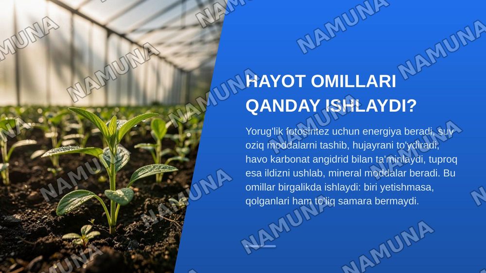 Õsimliklar uchun hayot omillari va uning ahamiyati — zamonaviy taqdimot, 3-slayd
