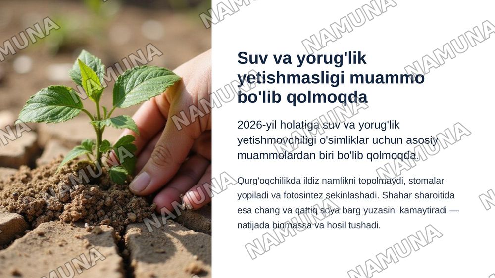 Õsimliklar uchun hayot omillari va uning ahamiyati — zamonaviy taqdimot, 4-slayd