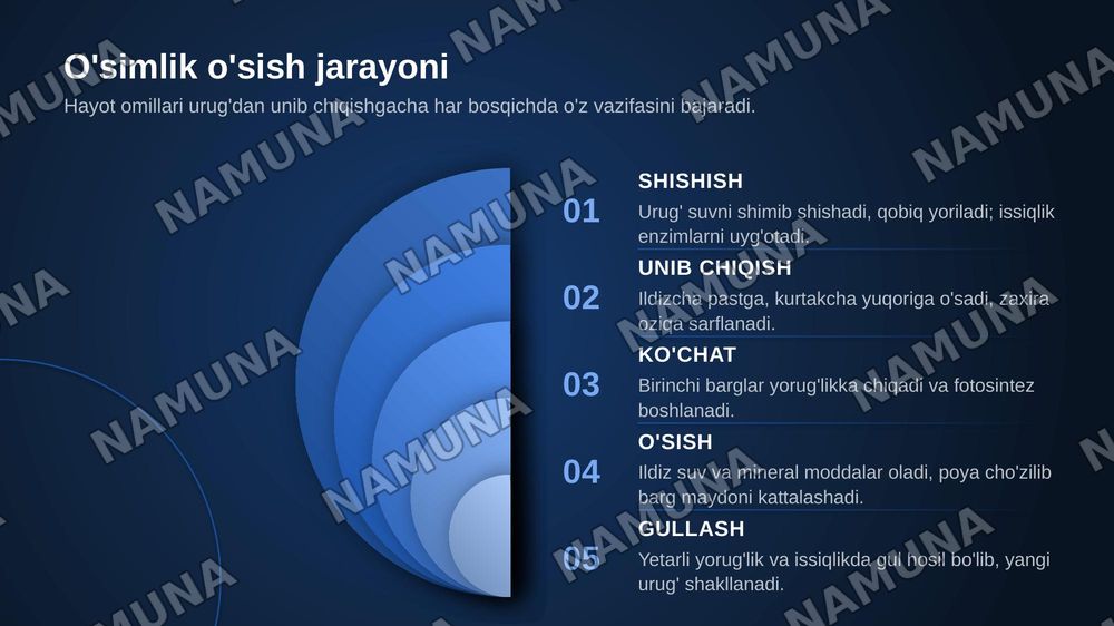 Õsimliklar uchun hayot omillari va uning ahamiyati — zamonaviy taqdimot, 7-slayd
