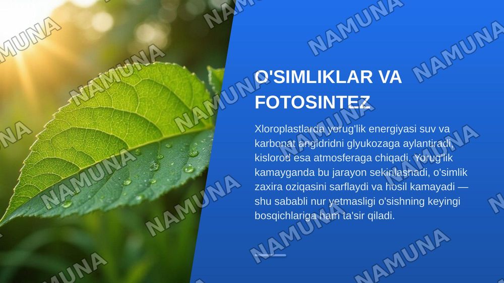 Õsimliklar uchun hayot omillari va uning ahamiyati — zamonaviy taqdimot, 8-slayd