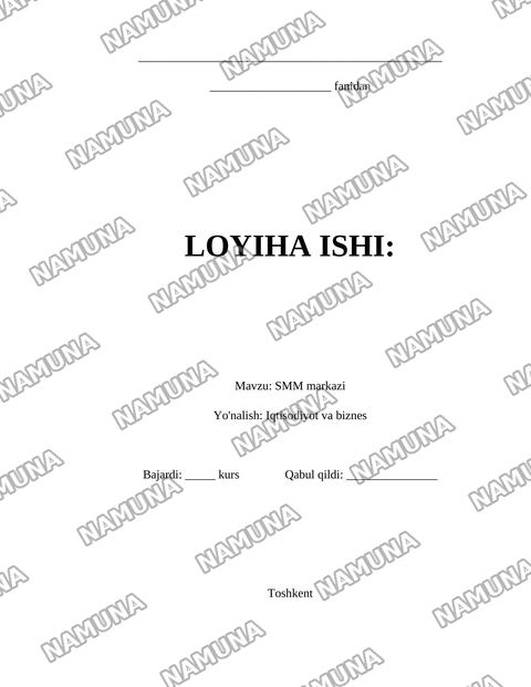 SMM markazi — loyiha ishi