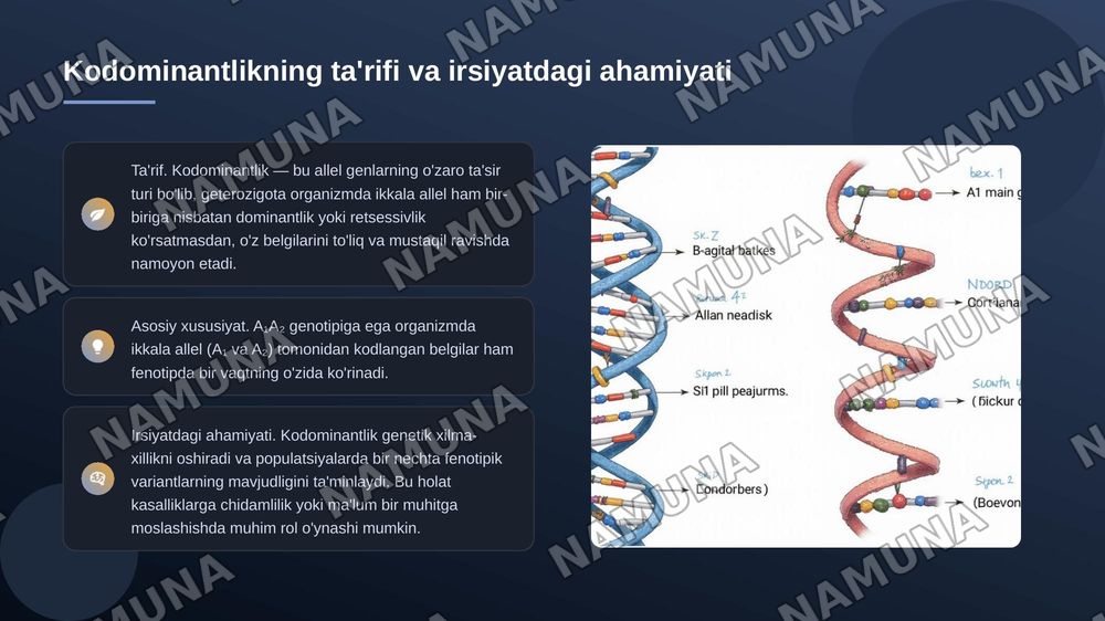 Monoduragay chatishtirish. Allel boʻlgan genlarning oʻzaro ta'siri. Kodominantlik. — zamonaviy taqdimot, 6-slayd