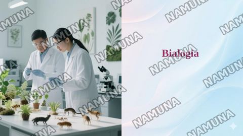 Bialogia — taqdimot