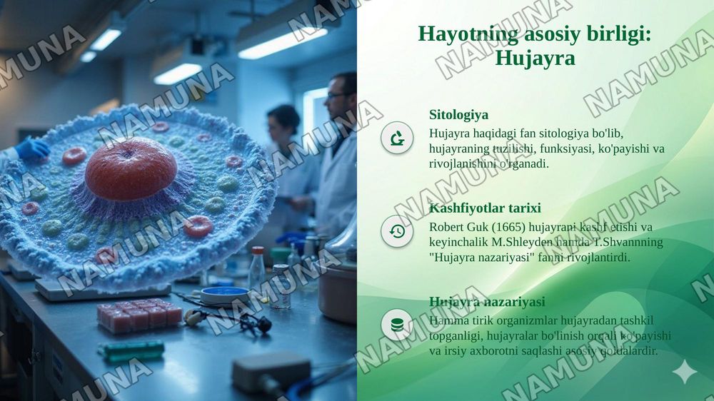 HUJAYRA VA TO‘QIMA DARAJASIDAGI BIOLOGIK
JARAYONLAR VA UNING ZAMONAVIY BIOTEXNOLOGIYADAGI
AHAMIYATI — taqdimot, 6-slayd