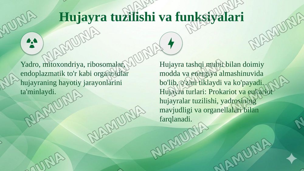 HUJAYRA VA TO‘QIMA DARAJASIDAGI BIOLOGIK
JARAYONLAR VA UNING ZAMONAVIY BIOTEXNOLOGIYADAGI
AHAMIYATI — taqdimot, 7-slayd