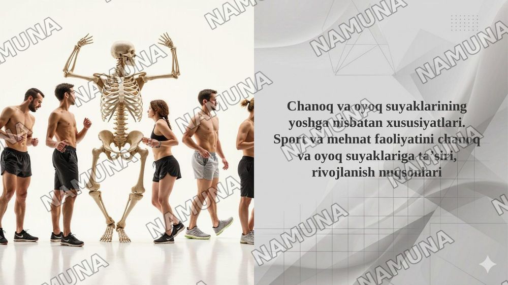 Chanoq va oyoq suyaklarining yoshga nisbatan xususiyatlari. Sport va mehnat faoliyatini chanoq va oyoq suyaklariga taʼsiri, rivojlanish nuqsonlari — taqdimot, 1-slayd