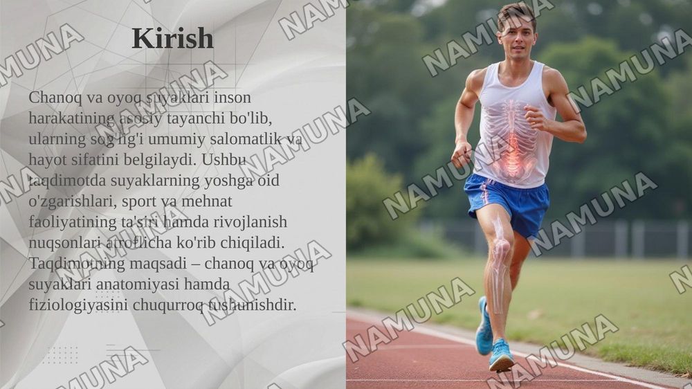 Chanoq va oyoq suyaklarining yoshga nisbatan xususiyatlari. Sport va mehnat faoliyatini chanoq va oyoq suyaklariga taʼsiri, rivojlanish nuqsonlari — taqdimot, 3-slayd
