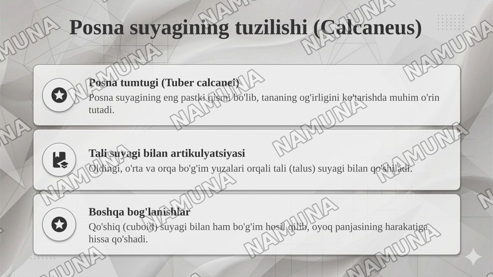 Chanoq va oyoq suyaklarining yoshga nisbatan xususiyatlari. Sport va mehnat faoliyatini chanoq va oyoq suyaklariga taʼsiri, rivojlanish nuqsonlari — taqdimot, 6-slayd