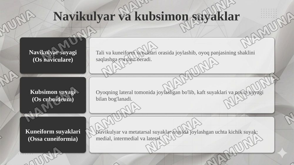 Chanoq va oyoq suyaklarining yoshga nisbatan xususiyatlari. Sport va mehnat faoliyatini chanoq va oyoq suyaklariga taʼsiri, rivojlanish nuqsonlari — taqdimot, 7-slayd