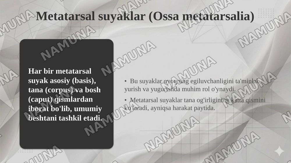 Chanoq va oyoq suyaklarining yoshga nisbatan xususiyatlari. Sport va mehnat faoliyatini chanoq va oyoq suyaklariga taʼsiri, rivojlanish nuqsonlari — taqdimot, 8-slayd