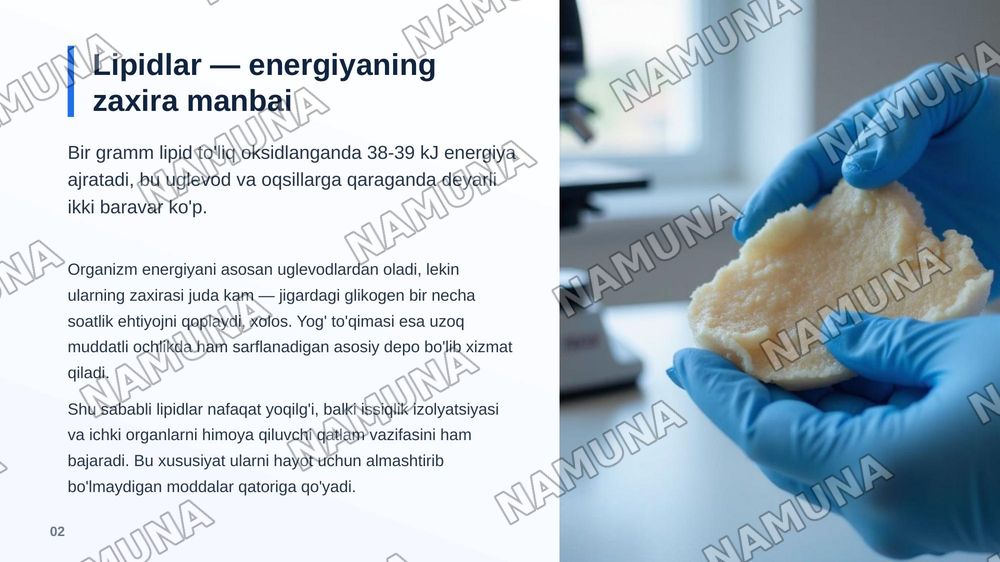 Lipidlar almashinuvi — zamonaviy taqdimot, 3-slayd